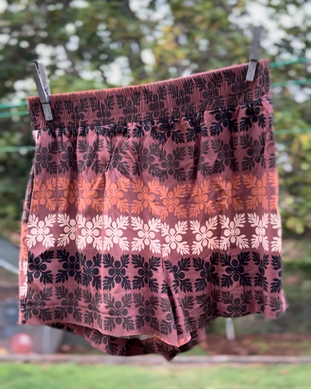 ‘Alaea ‘āina shorts