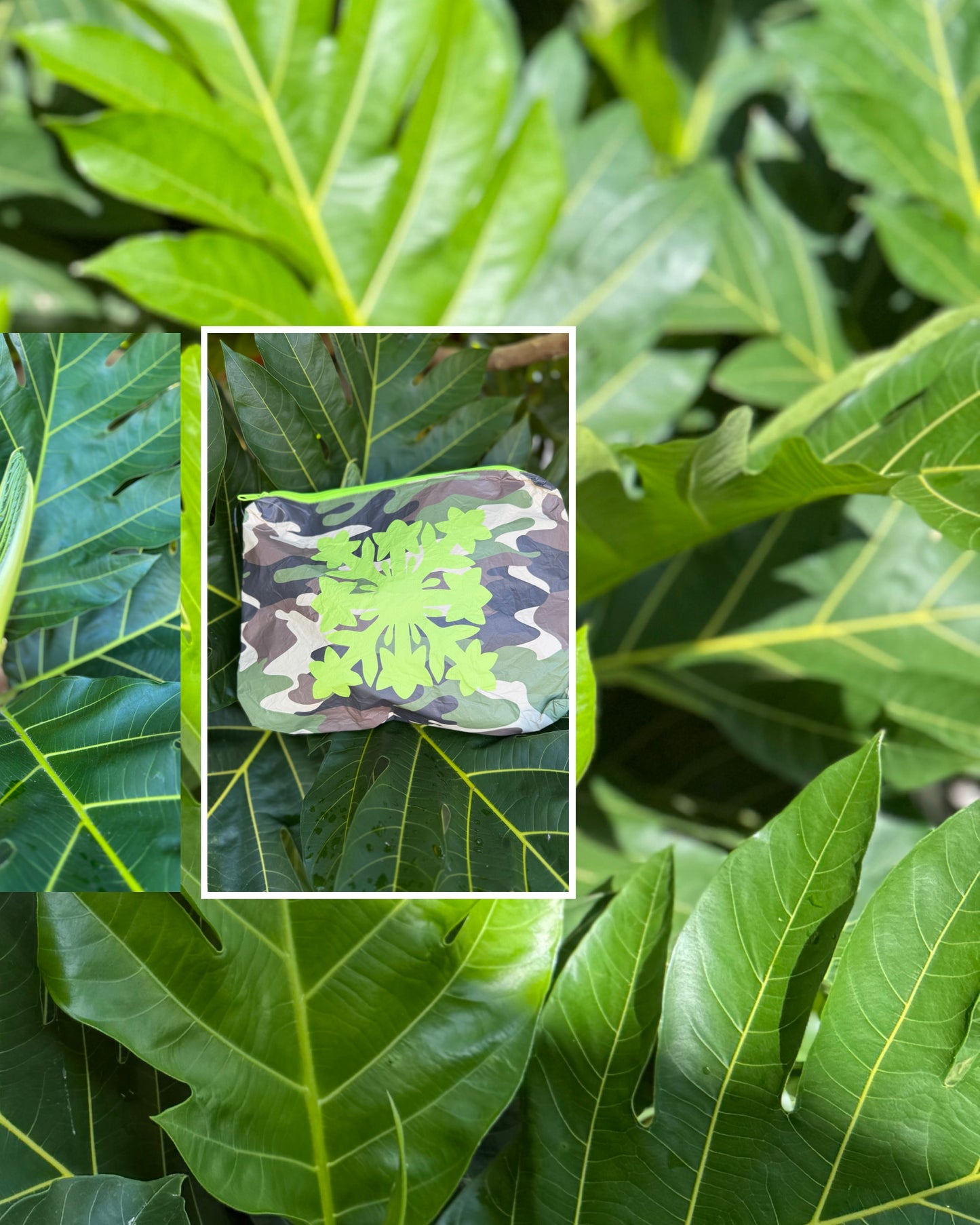 Pua Melia Kuiki + Camo